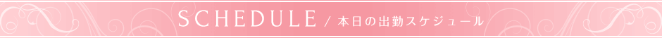 本日の出勤スケジュール